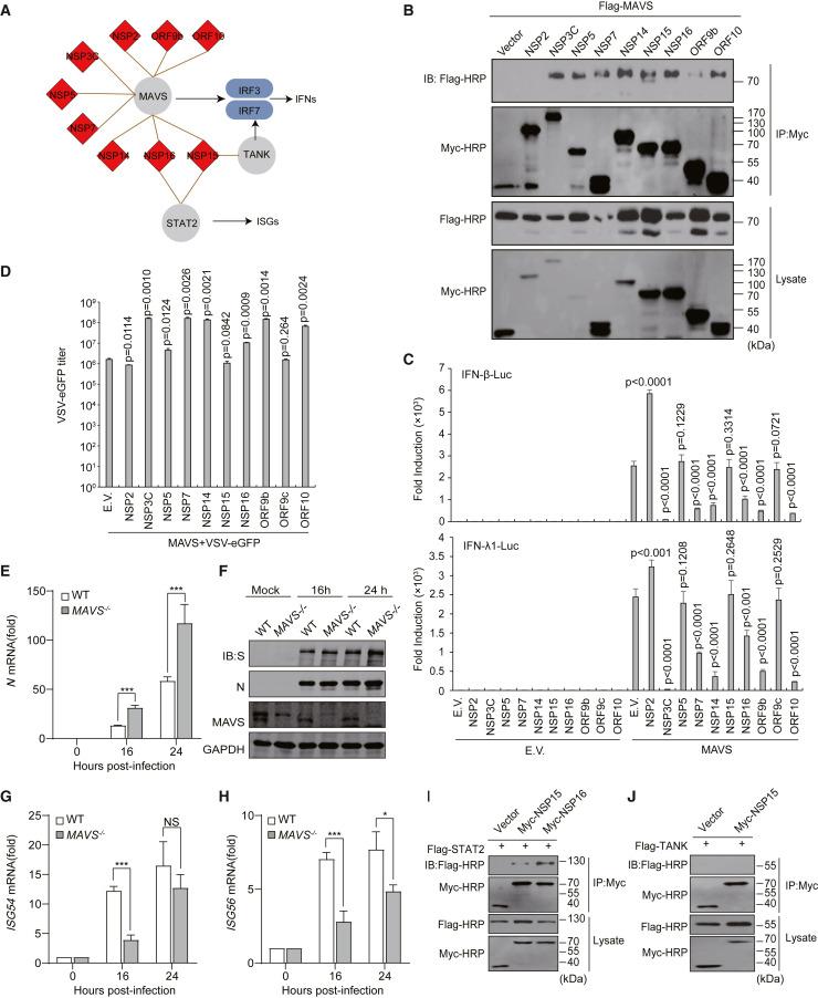 https://cdn.ncbi.nlm.nih.gov/pmc/blobs/d125/8527578/758960cce449/gr5_lrg.jpg