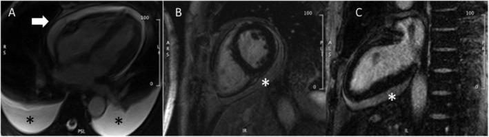 https://cdn.ncbi.nlm.nih.gov/pmc/blobs/d128/8497351/897f62392243/EHF2-8-4313-g001.jpg