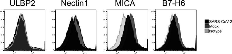 https://cdn.ncbi.nlm.nih.gov/pmc/blobs/d128/9239683/29b6130a5bb9/elife-74489-fig3-figsupp1.jpg