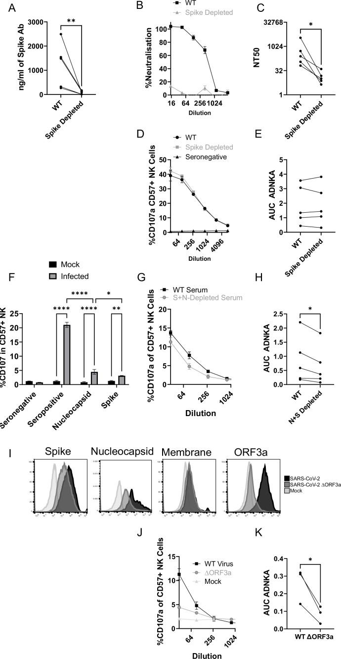 https://cdn.ncbi.nlm.nih.gov/pmc/blobs/d128/9239683/4cbf4e7838ec/elife-74489-fig8.jpg
