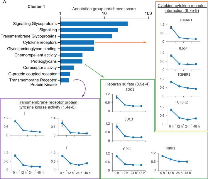 https://cdn.ncbi.nlm.nih.gov/pmc/blobs/d128/9239683/5d26b80fdf07/elife-74489-fig2.jpg