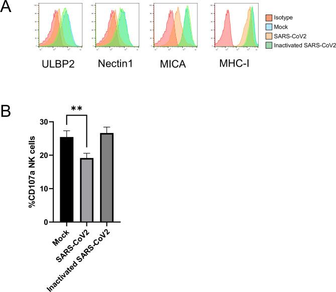 https://cdn.ncbi.nlm.nih.gov/pmc/blobs/d128/9239683/76864fa76b1a/elife-74489-fig3-figsupp2.jpg