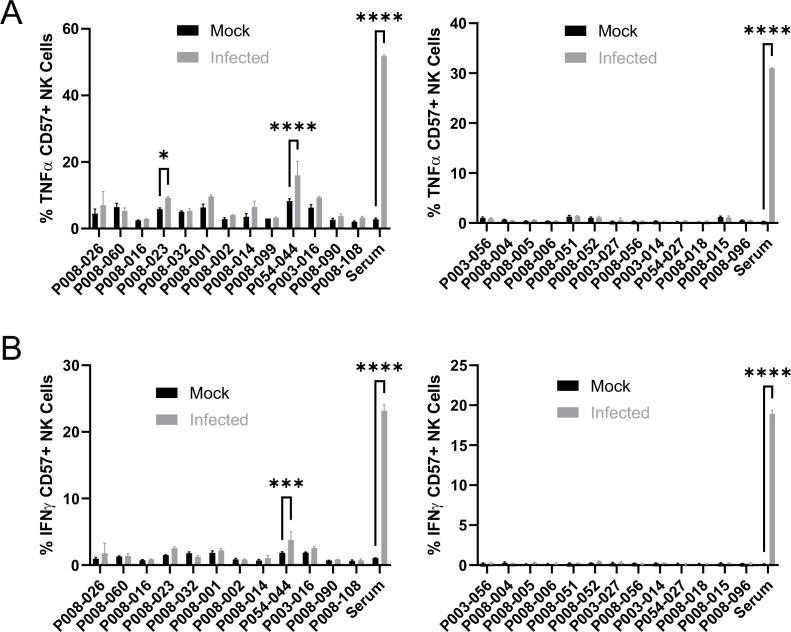 https://cdn.ncbi.nlm.nih.gov/pmc/blobs/d128/9239683/9c478ab6ab61/elife-74489-fig7-figsupp2.jpg