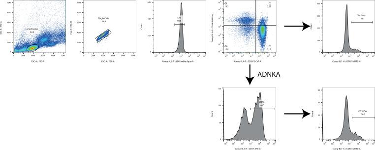 https://cdn.ncbi.nlm.nih.gov/pmc/blobs/d128/9239683/b0f569e278a9/elife-74489-fig4-figsupp1.jpg