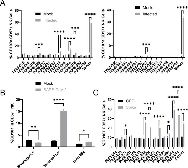 https://cdn.ncbi.nlm.nih.gov/pmc/blobs/d128/9239683/b6e0b34ff8bd/elife-74489-fig7.jpg