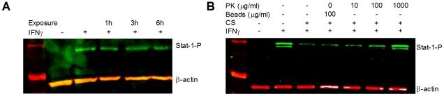 https://cdn.ncbi.nlm.nih.gov/pmc/blobs/d129/3256229/47eab2a1e6b7/pone.0030145.g002.jpg