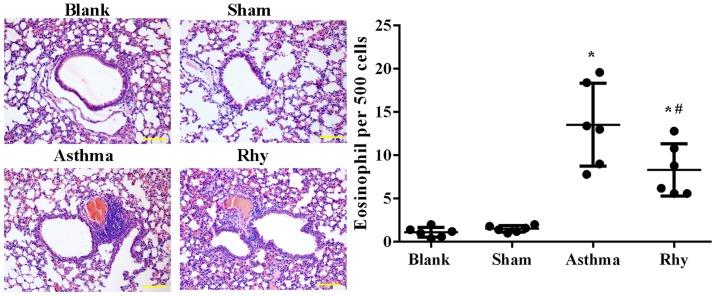 https://cdn.ncbi.nlm.nih.gov/pmc/blobs/d129/6307401/462692b597f7/etm-17-01-0251-g02.jpg