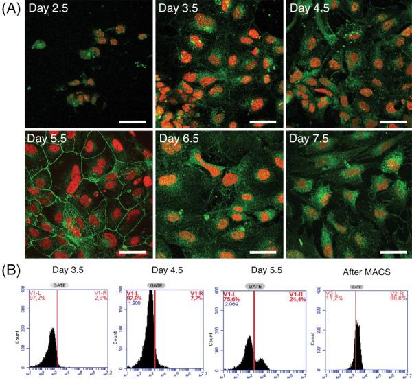 https://cdn.ncbi.nlm.nih.gov/pmc/blobs/d12a/10460769/d1528f21a972/bi-13-289-g003.jpg