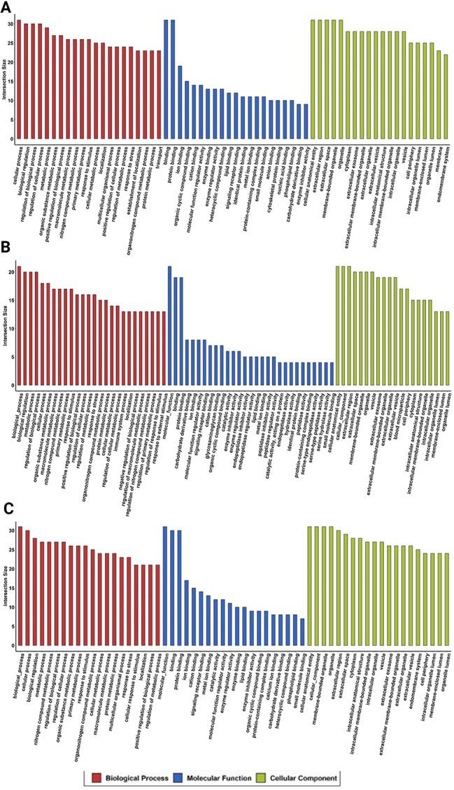 https://cdn.ncbi.nlm.nih.gov/pmc/blobs/d12d/11181634/6f8952007743/13098_2024_1365_Fig3_HTML.jpg