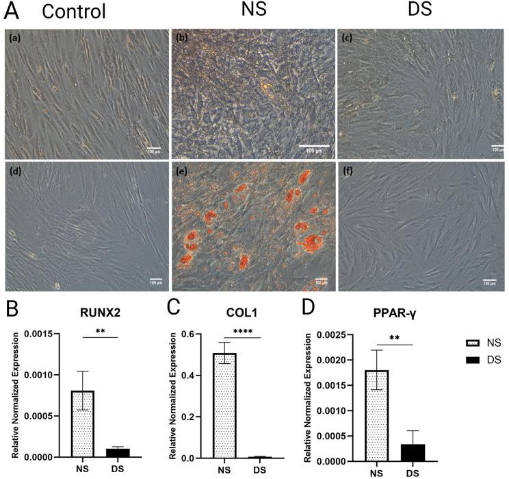 https://cdn.ncbi.nlm.nih.gov/pmc/blobs/d12d/11181634/9eb64ae7441f/13098_2024_1365_Fig7_HTML.jpg