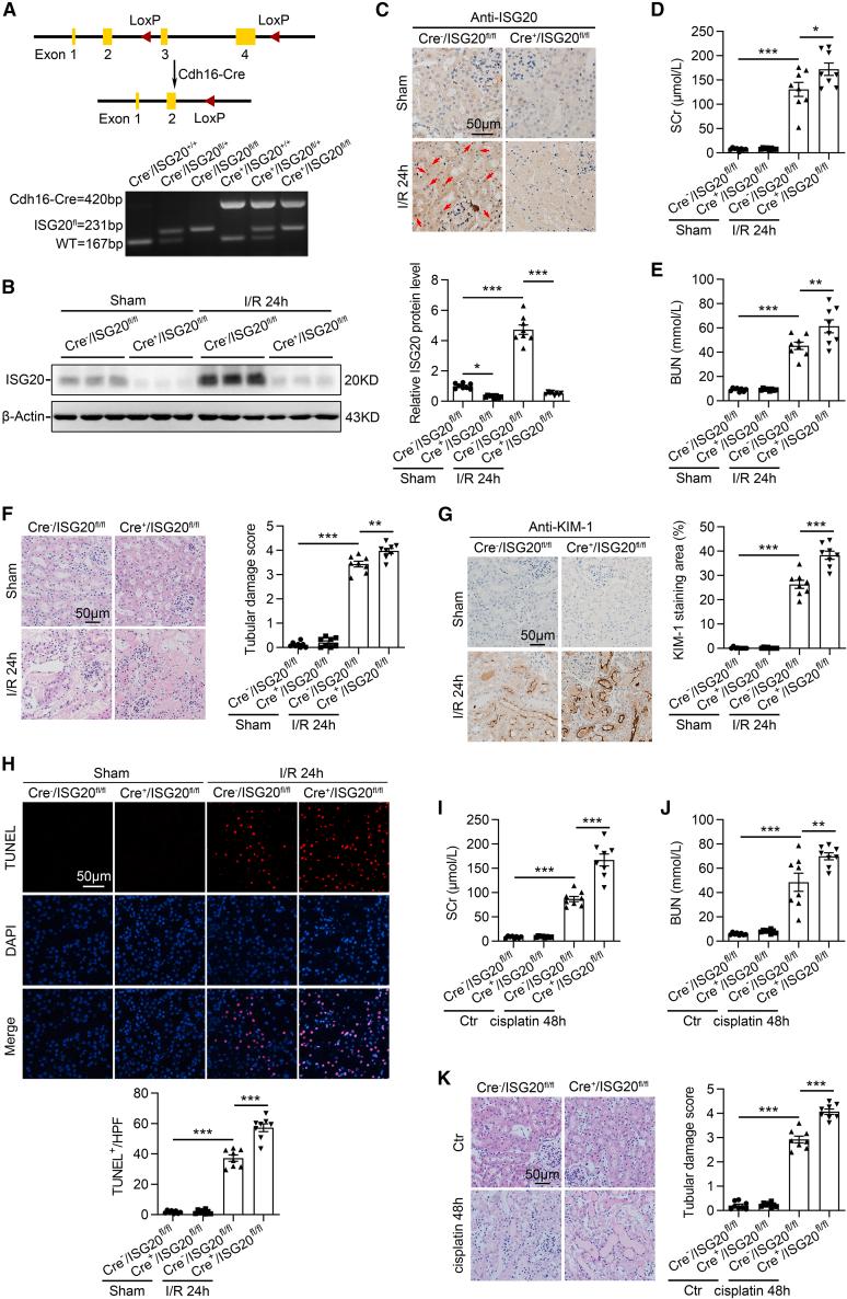 https://cdn.ncbi.nlm.nih.gov/pmc/blobs/d12e/10556188/349403e7217f/gr4.jpg