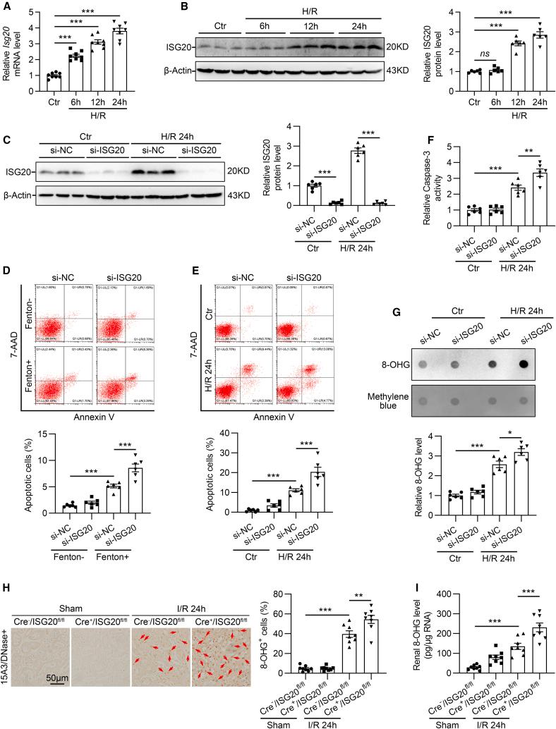 https://cdn.ncbi.nlm.nih.gov/pmc/blobs/d12e/10556188/aecfac8212a3/gr5.jpg
