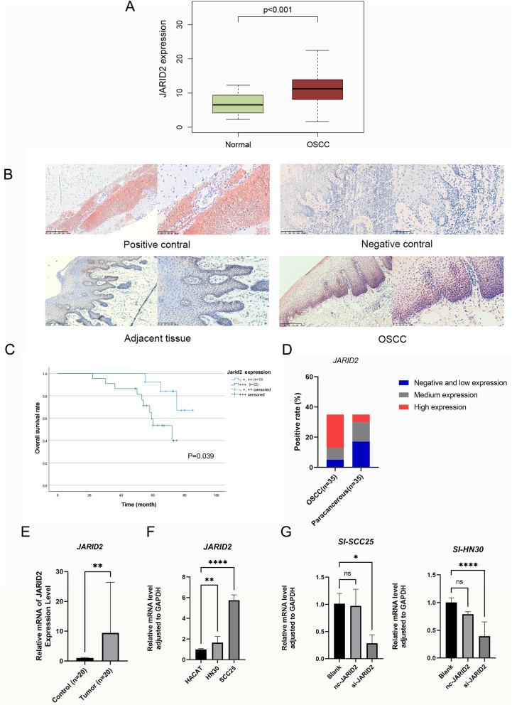 https://cdn.ncbi.nlm.nih.gov/pmc/blobs/d12e/11220990/5ab7a815fac5/12885_2024_12457_Fig1_HTML.jpg