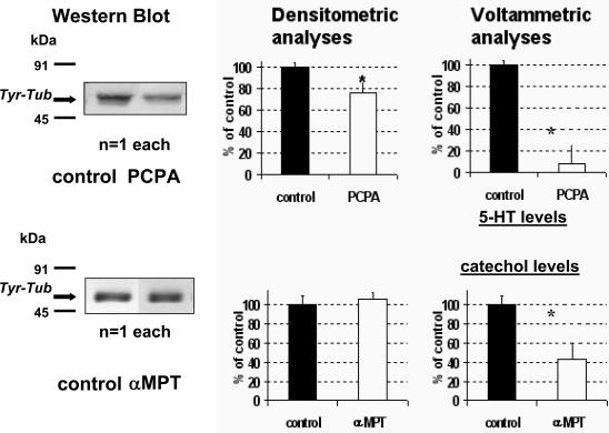 https://cdn.ncbi.nlm.nih.gov/pmc/blobs/d12e/2928987/b4f0a18bc667/TONEUJ-4-5_F1.jpg
