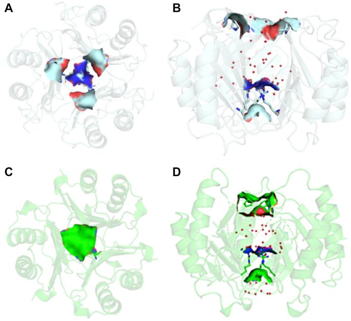 https://cdn.ncbi.nlm.nih.gov/pmc/blobs/d12e/8405996/4643d82c0d40/gr3.jpg