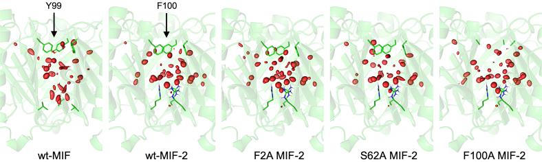 https://cdn.ncbi.nlm.nih.gov/pmc/blobs/d12e/8405996/67cfb36ee788/gr4.jpg