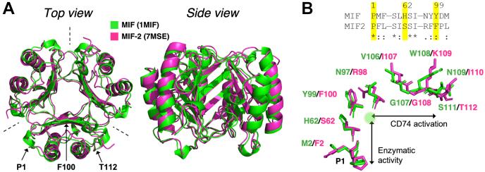 https://cdn.ncbi.nlm.nih.gov/pmc/blobs/d12e/8405996/ec0b6d82c90d/gr1.jpg