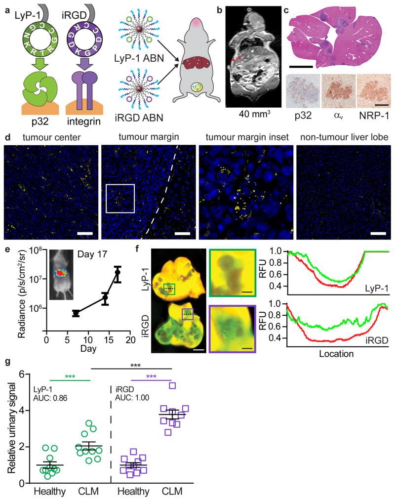 https://cdn.ncbi.nlm.nih.gov/pmc/blobs/d133/5621765/166dfe5a4a9d/nihms856834f5.jpg