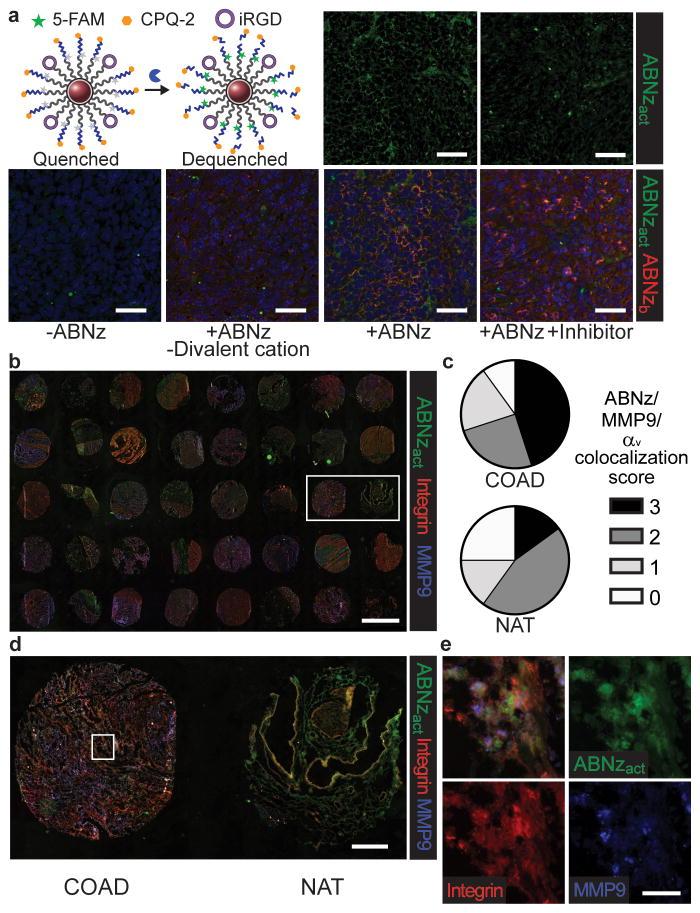 https://cdn.ncbi.nlm.nih.gov/pmc/blobs/d133/5621765/a082f18527f8/nihms856834f6.jpg