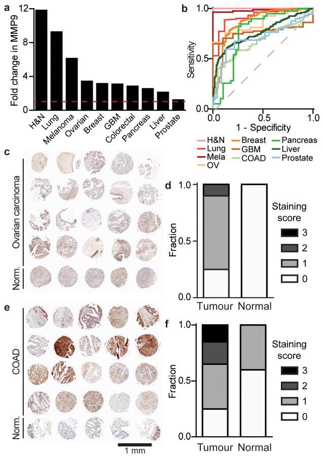 https://cdn.ncbi.nlm.nih.gov/pmc/blobs/d133/5621765/fd5ea208ccf9/nihms856834f1.jpg