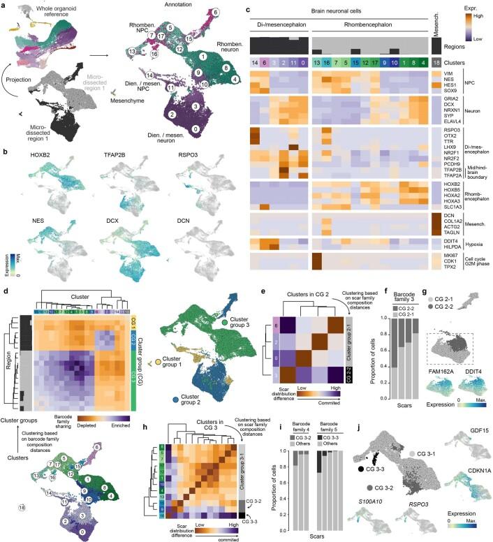 https://cdn.ncbi.nlm.nih.gov/pmc/blobs/d135/8748197/3ac54efeb7c8/41592_2021_1344_Fig15_ESM.jpg