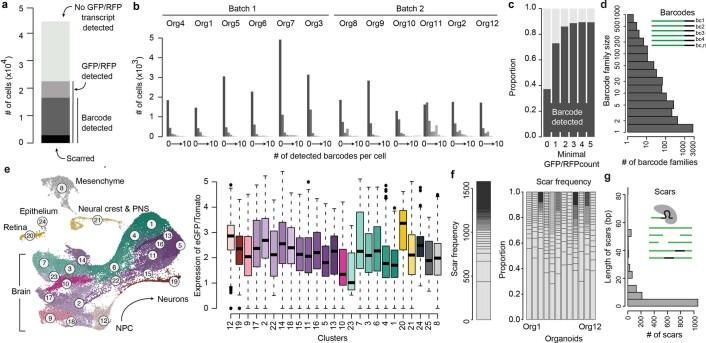https://cdn.ncbi.nlm.nih.gov/pmc/blobs/d135/8748197/43808ea31572/41592_2021_1344_Fig9_ESM.jpg