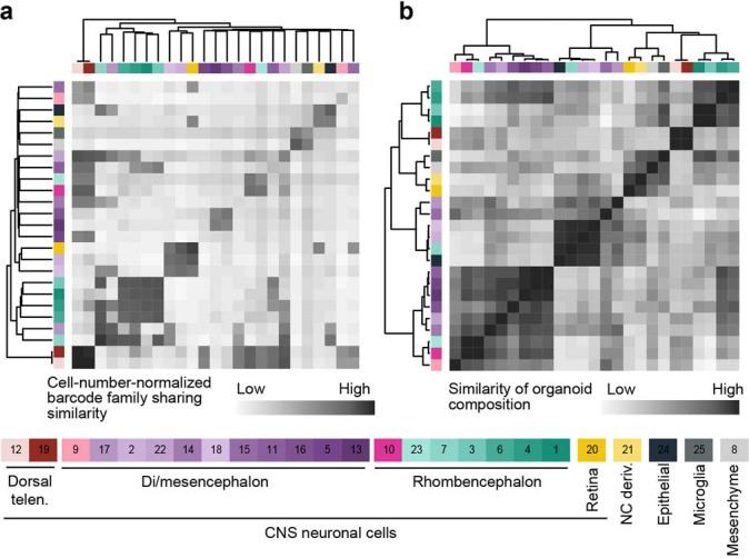 https://cdn.ncbi.nlm.nih.gov/pmc/blobs/d135/8748197/4f51a3b819e3/41592_2021_1344_Fig10_ESM.jpg