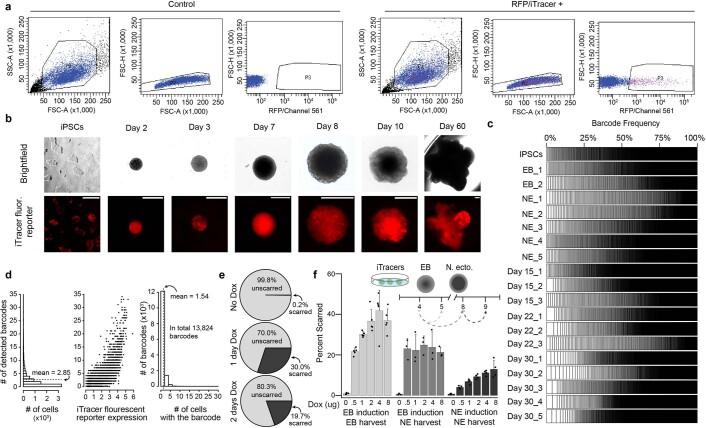 https://cdn.ncbi.nlm.nih.gov/pmc/blobs/d135/8748197/feb222e15004/41592_2021_1344_Fig7_ESM.jpg