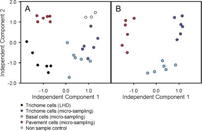 https://cdn.ncbi.nlm.nih.gov/pmc/blobs/d13c/2837255/cb721f4ea4aa/jexboterq002f04_3c.jpg
