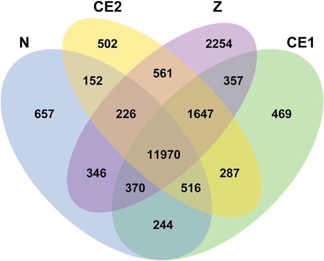 https://cdn.ncbi.nlm.nih.gov/pmc/blobs/d13d/11155044/fe3efebe60e6/12864_2024_10453_Fig3_HTML.jpg