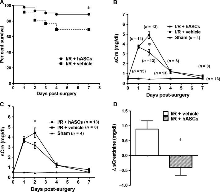https://cdn.ncbi.nlm.nih.gov/pmc/blobs/d13d/5487924/1106fbaa861a/JCMM-21-1420-g004.jpg