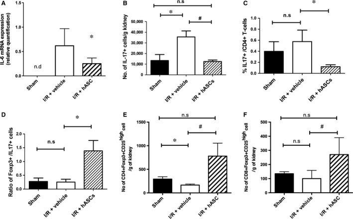 https://cdn.ncbi.nlm.nih.gov/pmc/blobs/d13d/5487924/948cf63e674b/JCMM-21-1420-g003.jpg