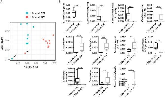 https://cdn.ncbi.nlm.nih.gov/pmc/blobs/d13e/6970973/29893b5c7d84/fcimb-09-00444-g0001.jpg