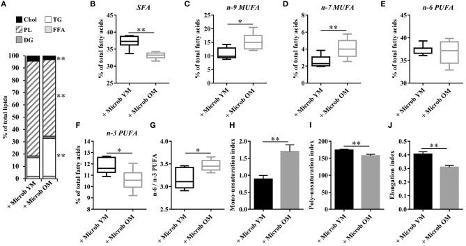 https://cdn.ncbi.nlm.nih.gov/pmc/blobs/d13e/6970973/76c7a7a348f5/fcimb-09-00444-g0006.jpg