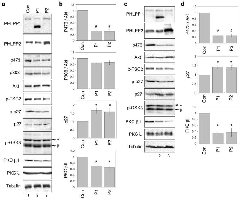 https://cdn.ncbi.nlm.nih.gov/pmc/blobs/d140/2921630/4389e02d41b2/nihms78107f3.jpg