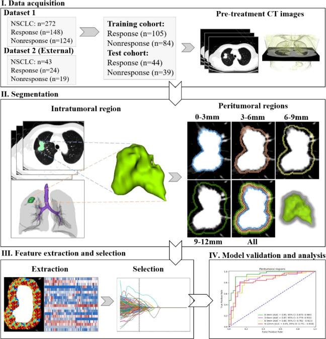 https://cdn.ncbi.nlm.nih.gov/pmc/blobs/d140/9393703/e08484b3a81d/fonc-12-915835-g001.jpg