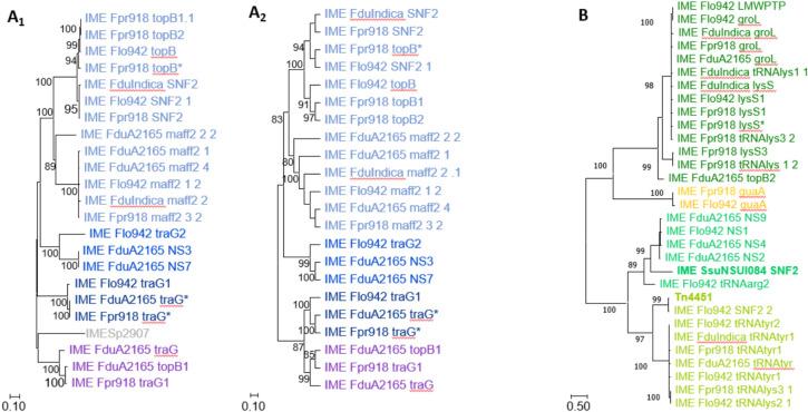 https://cdn.ncbi.nlm.nih.gov/pmc/blobs/d143/12084326/fae32e3b6970/41598_2025_99981_Fig3_HTML.jpg