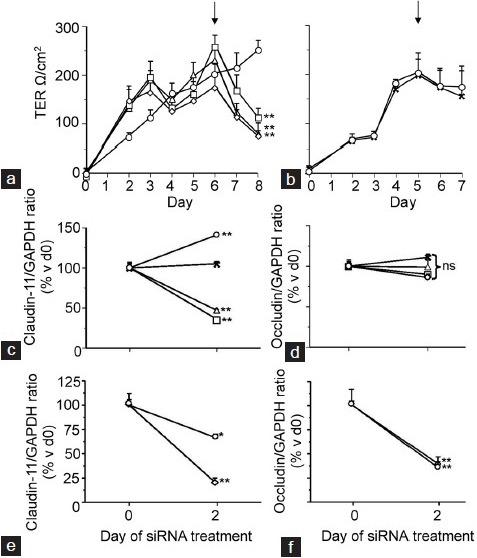 https://cdn.ncbi.nlm.nih.gov/pmc/blobs/d149/4955190/1fddbb59976d/AJA-18-620-g002.jpg