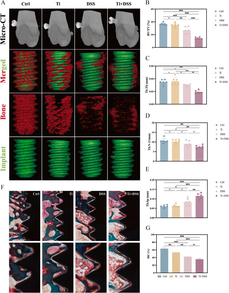 https://cdn.ncbi.nlm.nih.gov/pmc/blobs/d14a/12398882/39bcd03e2fe2/gr3.jpg