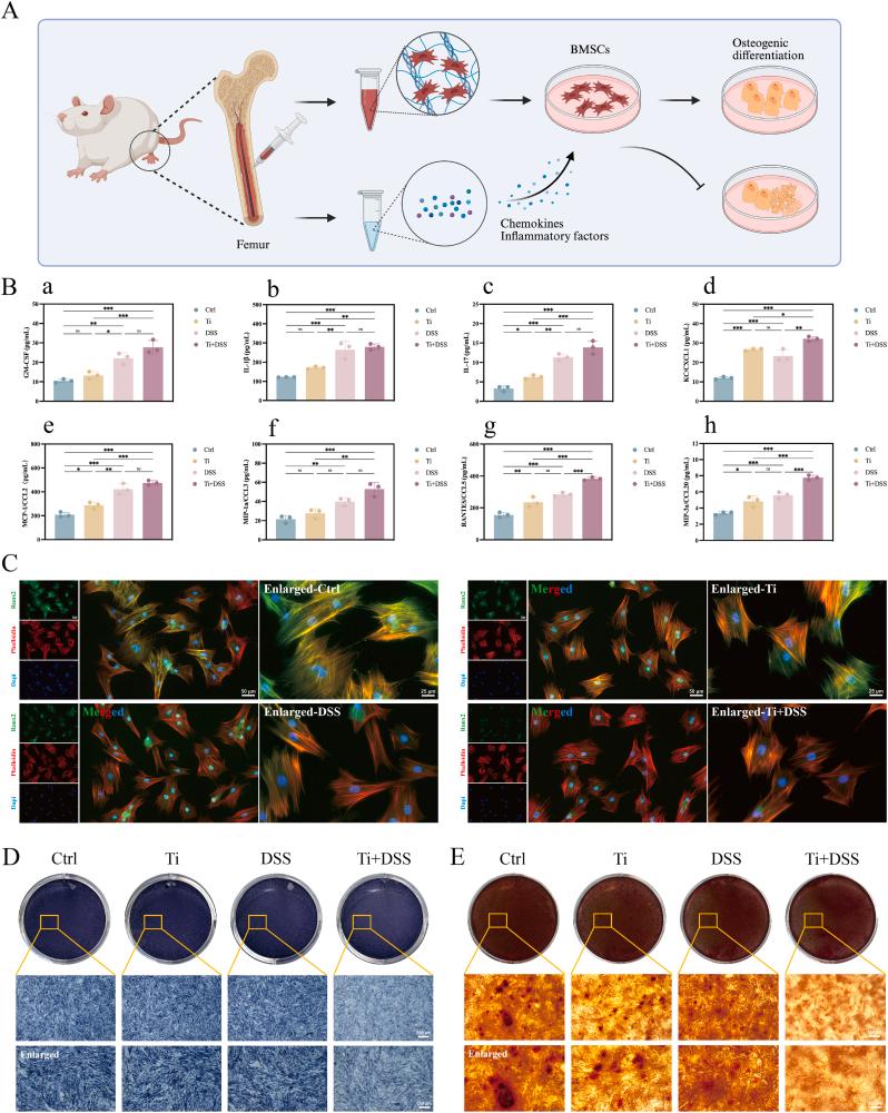 https://cdn.ncbi.nlm.nih.gov/pmc/blobs/d14a/12398882/fa509a4cb9af/gr6.jpg