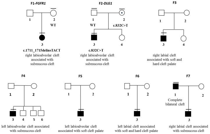 https://cdn.ncbi.nlm.nih.gov/pmc/blobs/d14a/6826364/8e3be904751c/genes-10-00833-g002.jpg