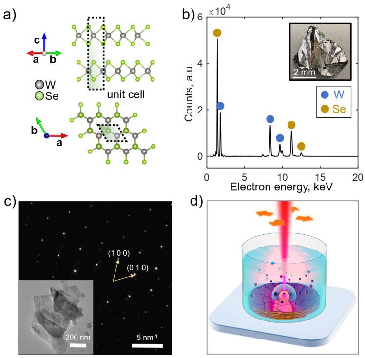 https://cdn.ncbi.nlm.nih.gov/pmc/blobs/d14d/11721788/7cabfe777653/nanomaterials-15-00004-g001.jpg