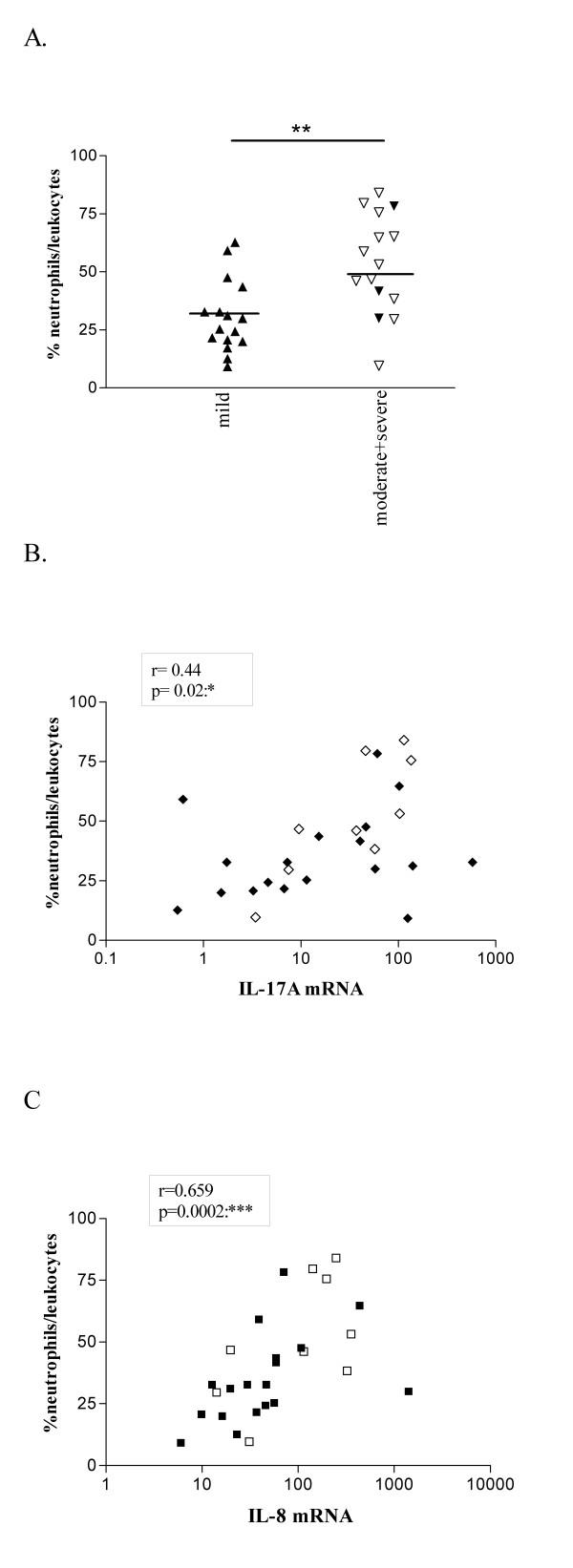 https://cdn.ncbi.nlm.nih.gov/pmc/blobs/d14e/1636037/001d36b0b465/1465-9921-7-135-3.jpg