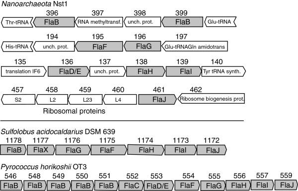 https://cdn.ncbi.nlm.nih.gov/pmc/blobs/d14e/3655853/877dbe4721b3/1745-6150-8-9-5.jpg