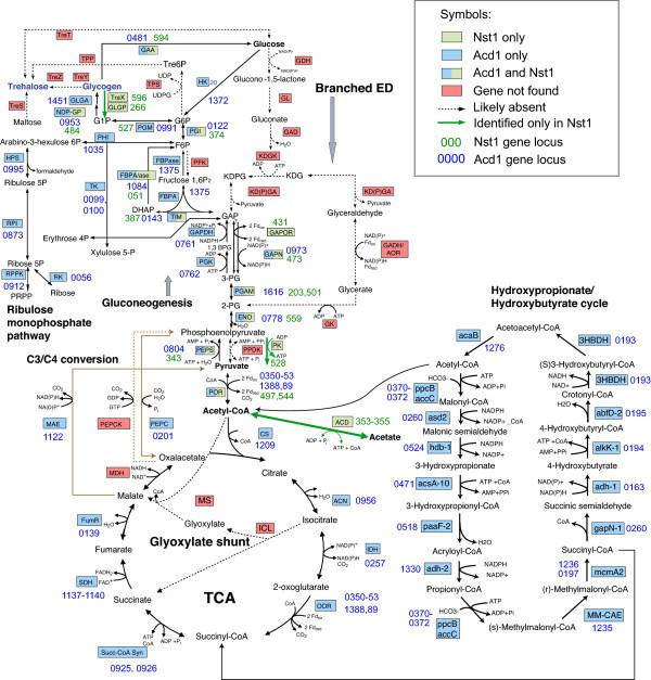 https://cdn.ncbi.nlm.nih.gov/pmc/blobs/d14e/3655853/9a680ef86f6f/1745-6150-8-9-4.jpg