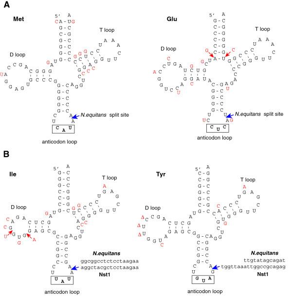 https://cdn.ncbi.nlm.nih.gov/pmc/blobs/d14e/3655853/9d584cea1dbe/1745-6150-8-9-7.jpg