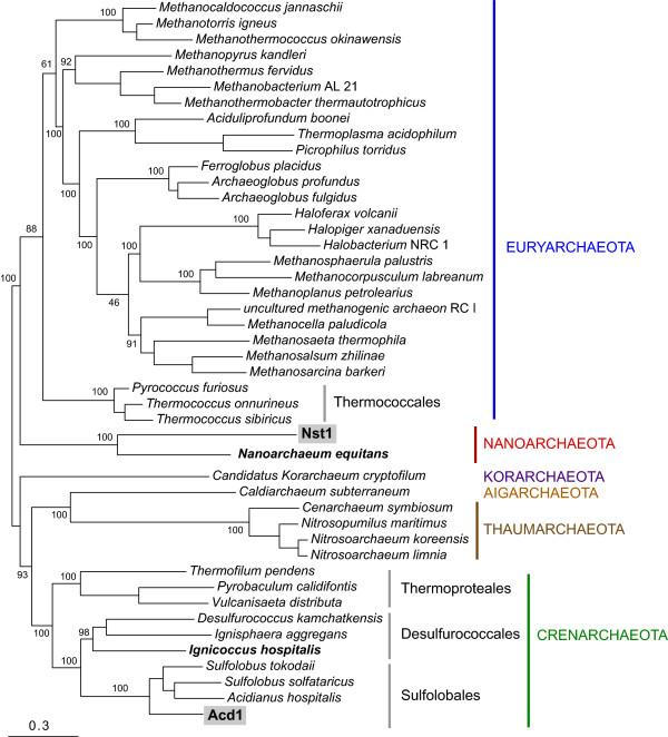 https://cdn.ncbi.nlm.nih.gov/pmc/blobs/d14e/3655853/f8061cd65f37/1745-6150-8-9-3.jpg