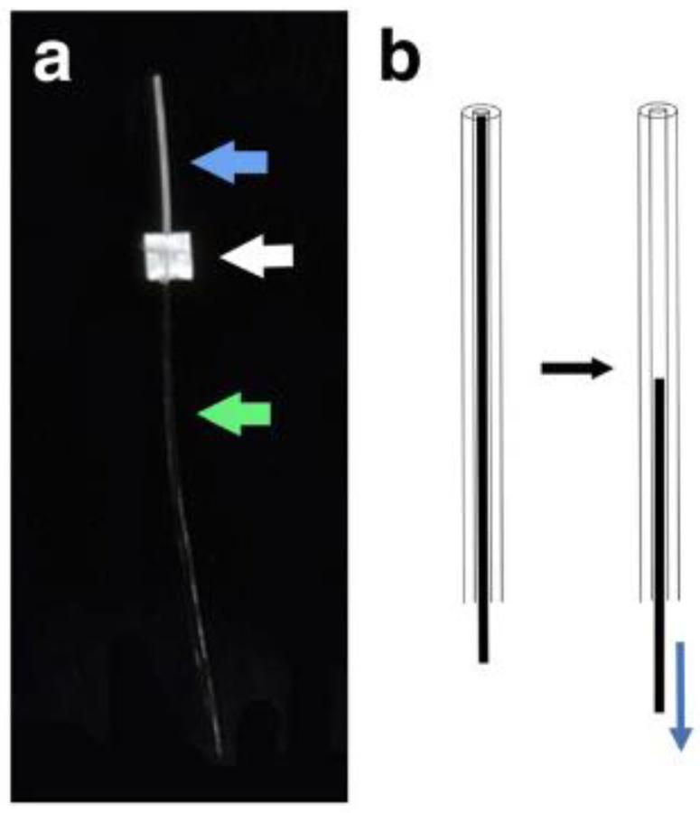 https://cdn.ncbi.nlm.nih.gov/pmc/blobs/d14f/10525614/454c47b2fa63/bioengineering-10-01096-g006.jpg