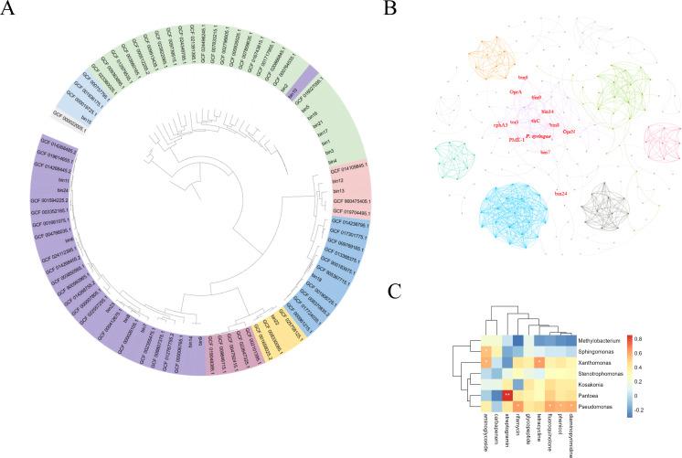 https://cdn.ncbi.nlm.nih.gov/pmc/blobs/d153/11019836/a2dc3413437f/msystems.01126-23.f003.jpg