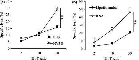https://cdn.ncbi.nlm.nih.gov/pmc/blobs/d154/5715349/b576197e1590/CAS-108-2333-g003.jpg